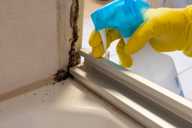 Best Mold Remediation for Schools in Tahoma, CA