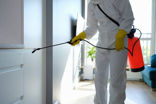 Best Industrial Mold Remediation in Tahoma, CA