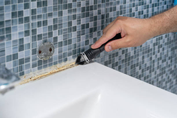 Best Post-Flood Mold Remediation in Tahoma, CA